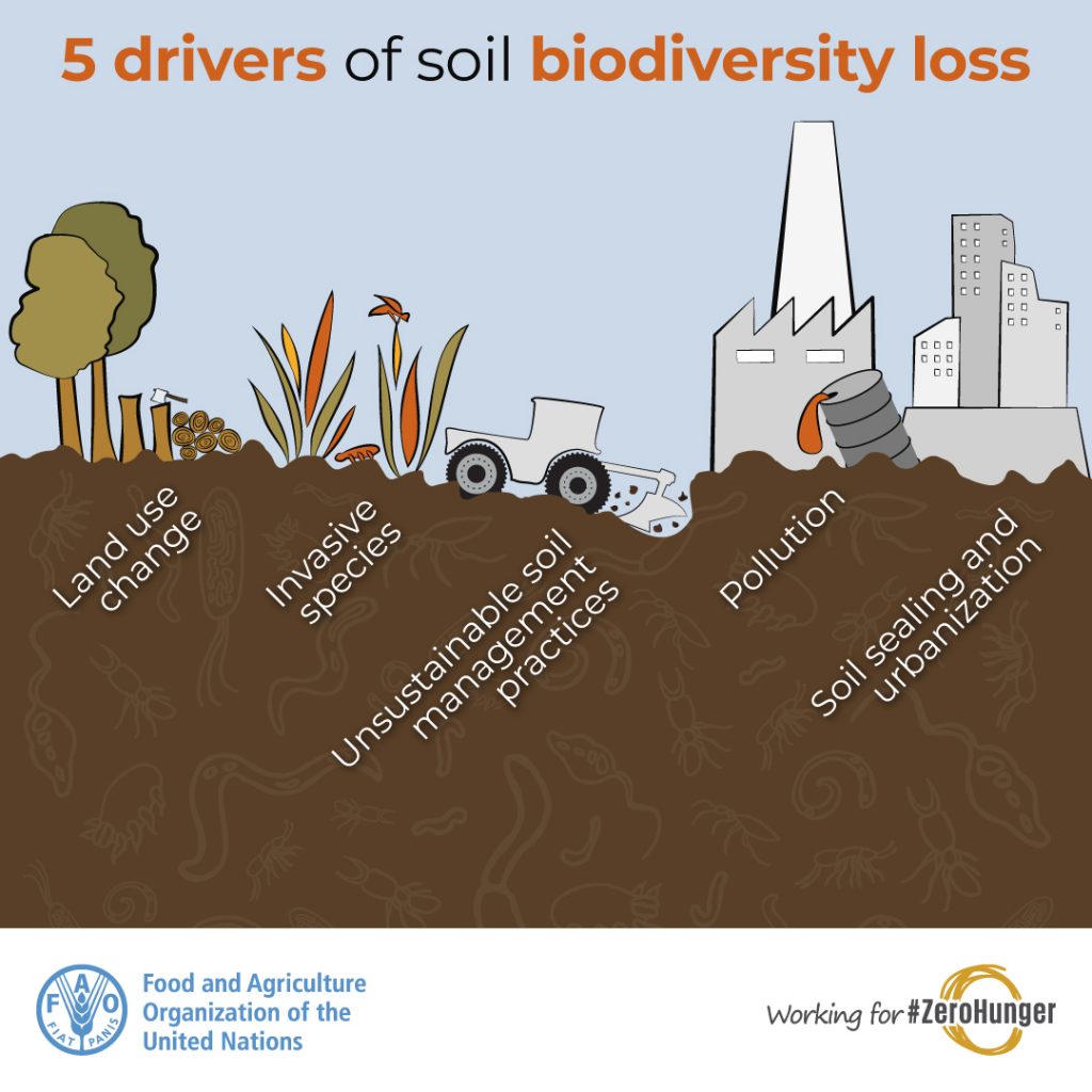 SIEUSOIL OBSERVATORY FOR INTELLIGENT LAND USE